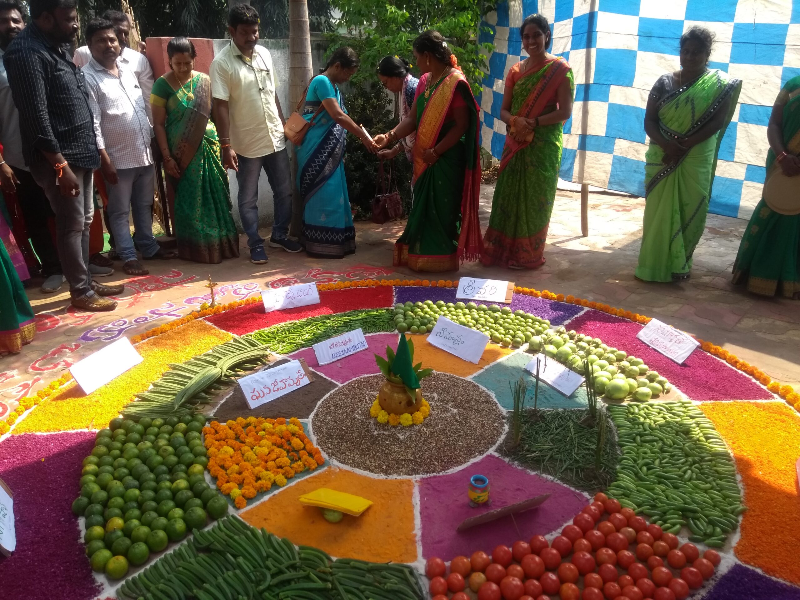 Model kitchen garden made with women’s farm produce in Anakapalli, Andhra Pradesh.