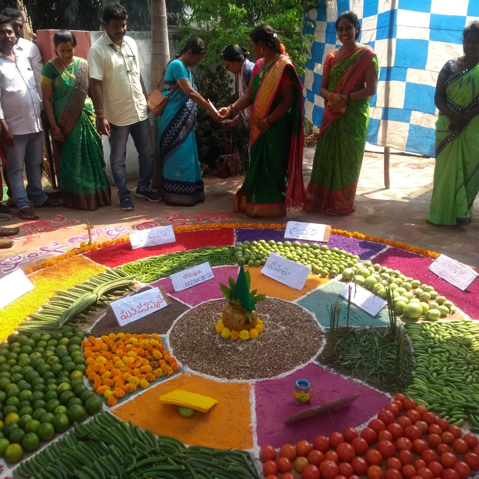 Model kitchen garden made with women’s farm produce in Anakapalli, Andhra Pradesh.